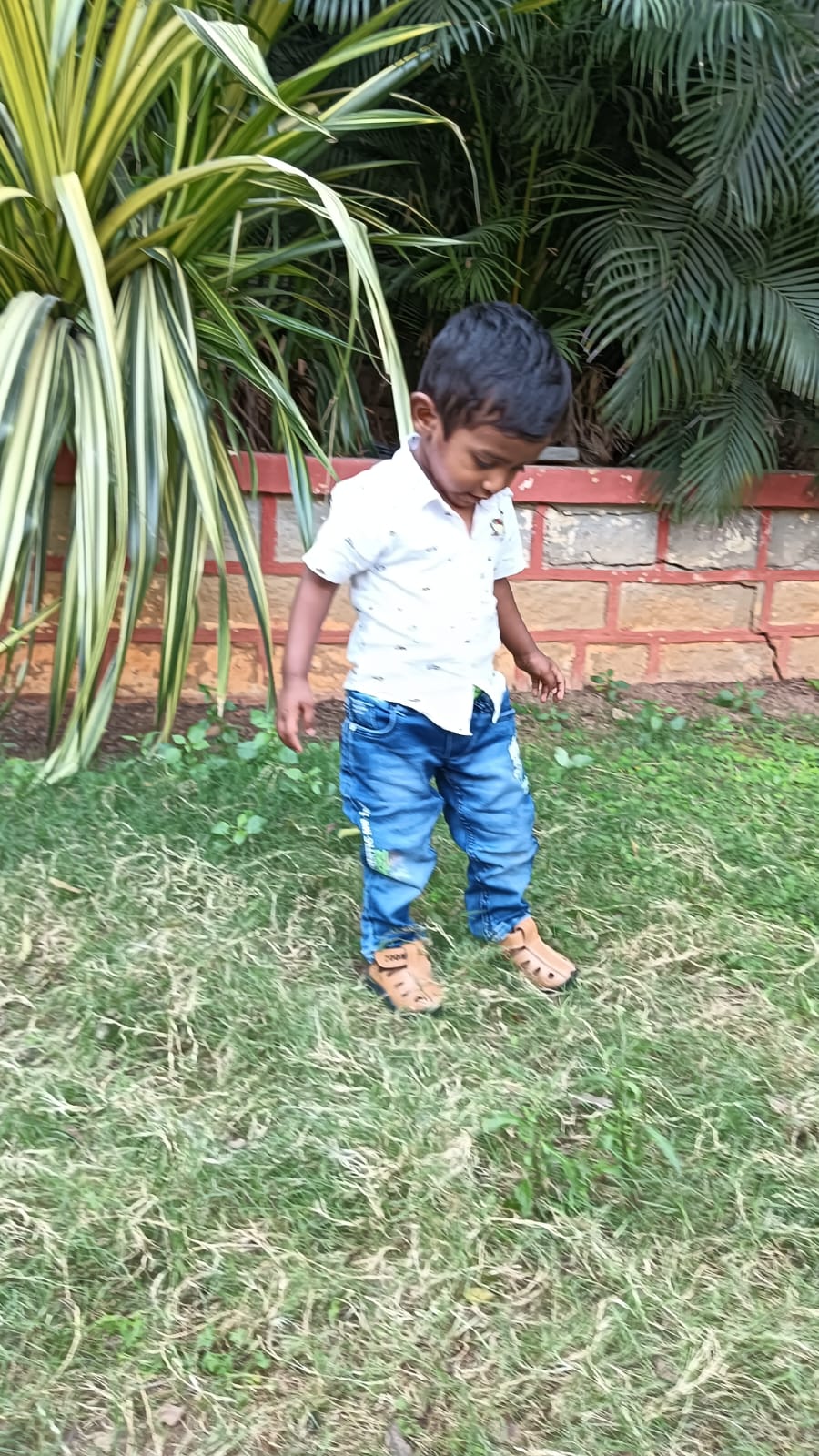 WhatsApp Image 2026-05-02 at 11.48.59 PM (2)