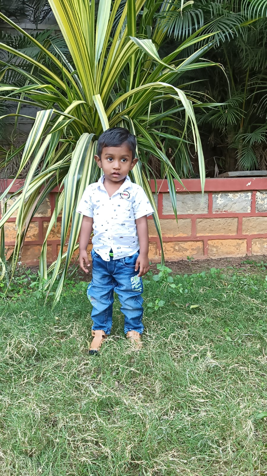 WhatsApp Image 2026-05-02 at 11.48.59 PM (3)