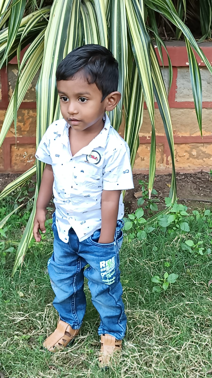 WhatsApp Image 2026-05-02 at 11.49.00 PM (1)